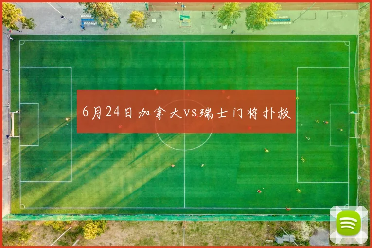 6月24日加拿大vs瑞士门将扑救